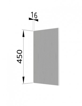 Панель торцевая (для шкафа горизонтального высокого) ВПГ Ройс (Графит софт) в Верх-Туле - verh-tula.mebel54.com | фото